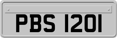 PBS1201