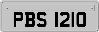 PBS1210