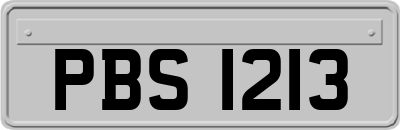 PBS1213