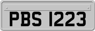 PBS1223