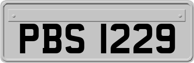 PBS1229