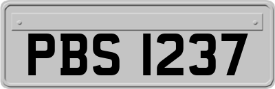 PBS1237