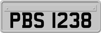 PBS1238