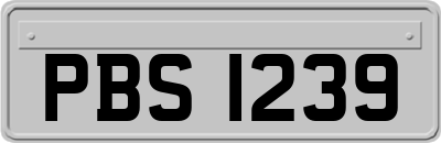 PBS1239