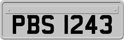 PBS1243