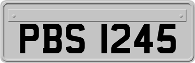 PBS1245