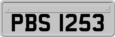 PBS1253