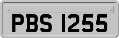 PBS1255