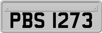 PBS1273