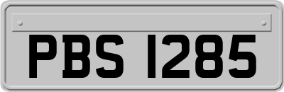 PBS1285