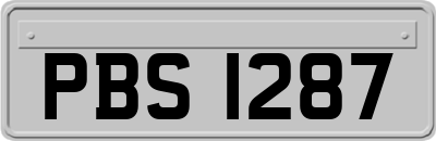 PBS1287