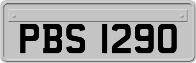 PBS1290