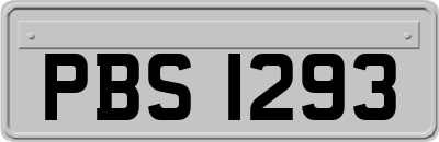 PBS1293