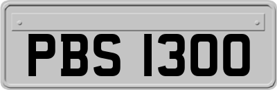 PBS1300