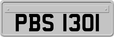 PBS1301