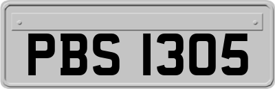 PBS1305