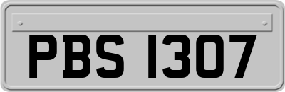 PBS1307