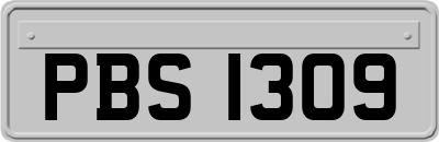 PBS1309