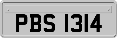 PBS1314