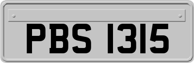 PBS1315