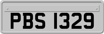 PBS1329