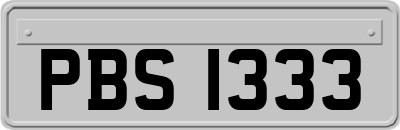 PBS1333