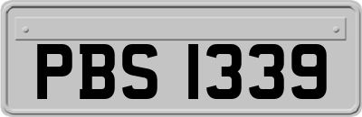 PBS1339