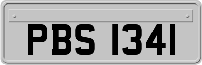 PBS1341