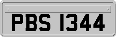 PBS1344