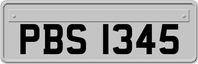 PBS1345