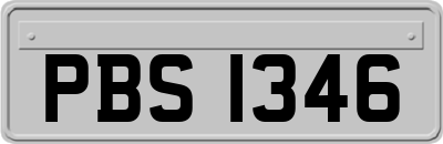 PBS1346