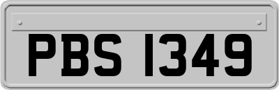 PBS1349