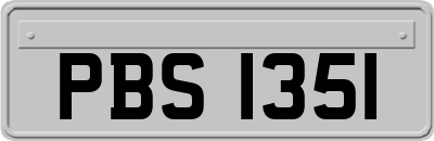 PBS1351