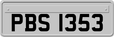 PBS1353