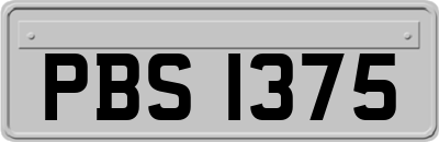 PBS1375