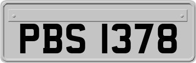 PBS1378