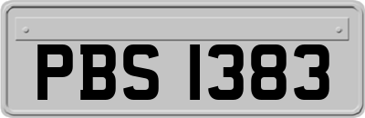 PBS1383