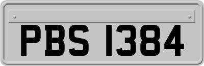 PBS1384