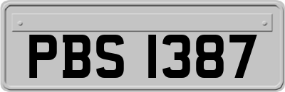 PBS1387