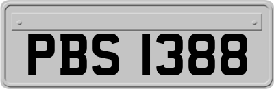 PBS1388