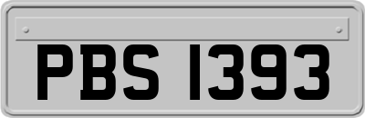 PBS1393