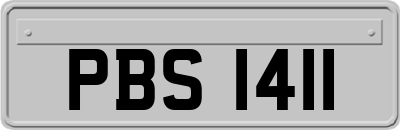 PBS1411