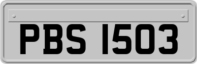 PBS1503