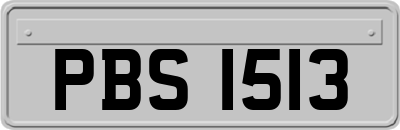 PBS1513