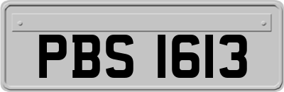 PBS1613