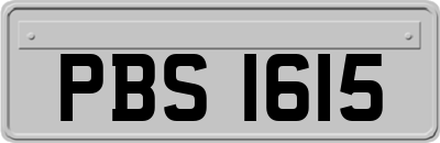 PBS1615