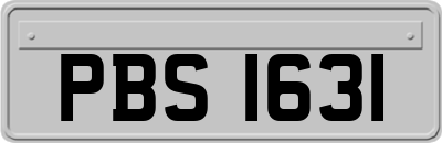 PBS1631