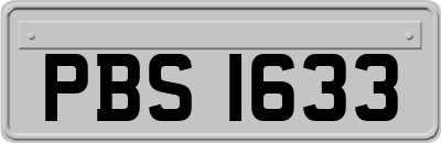 PBS1633