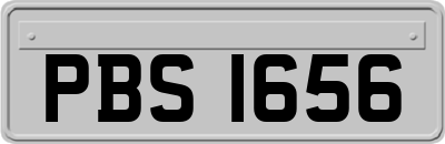 PBS1656