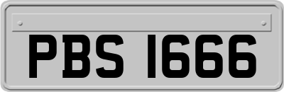 PBS1666